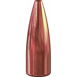 balle speer 50 action express 325gr plinker jacketed hollow point 4495
