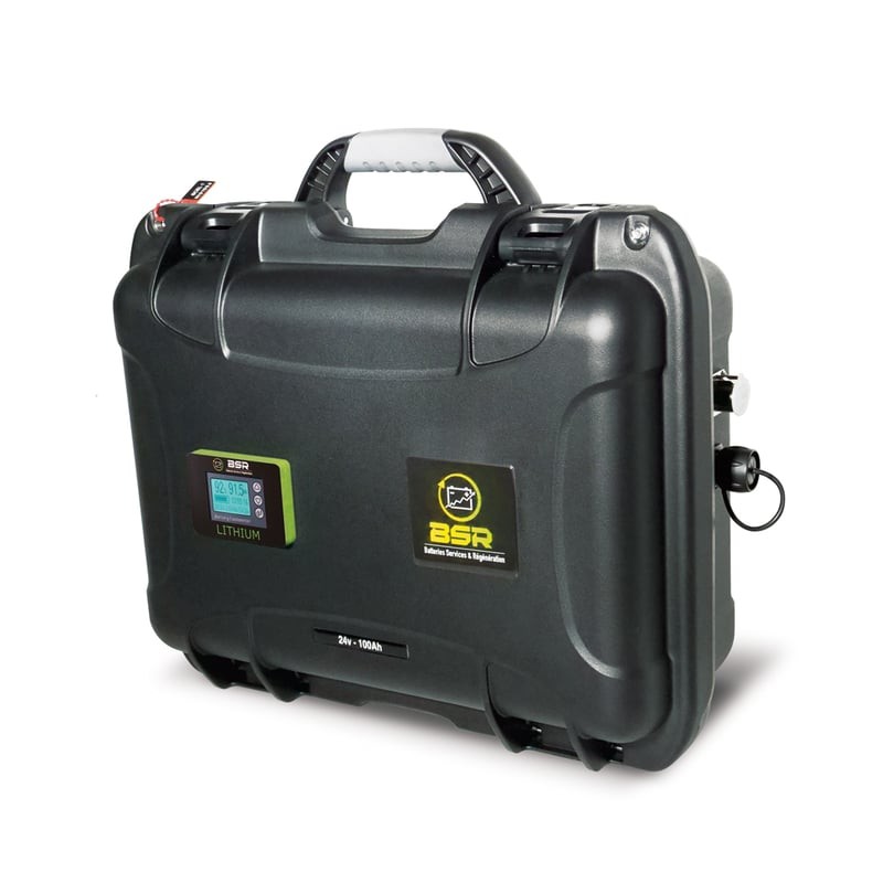 valise batterie lithium prestige - 24v 100ah - life po4 / 2560 wh