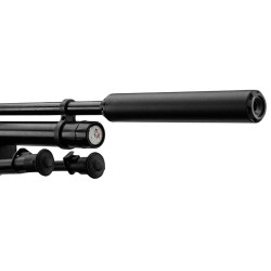pack carabine gamo hpa pcp + 6-24x50 + silencieux + bipied